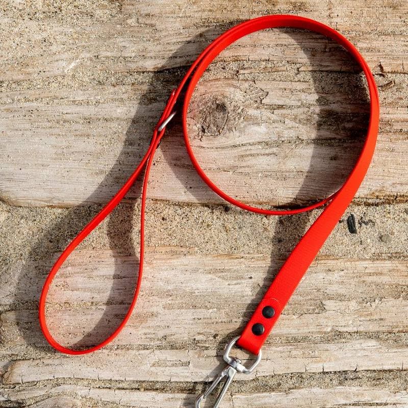 everyday leash