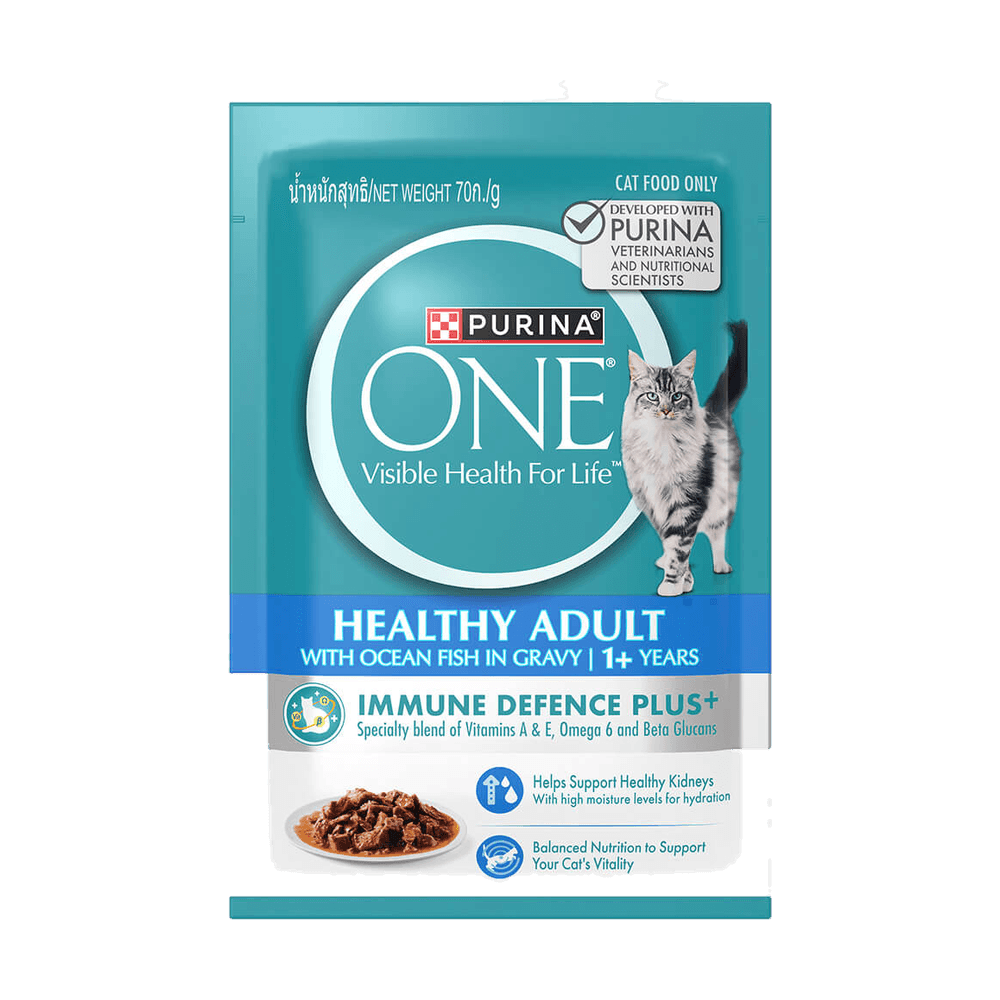 Purina ONE Adult Ocean Fish in Gravy 70g